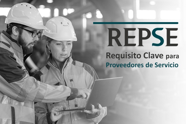 registro repse proveedores de servicios